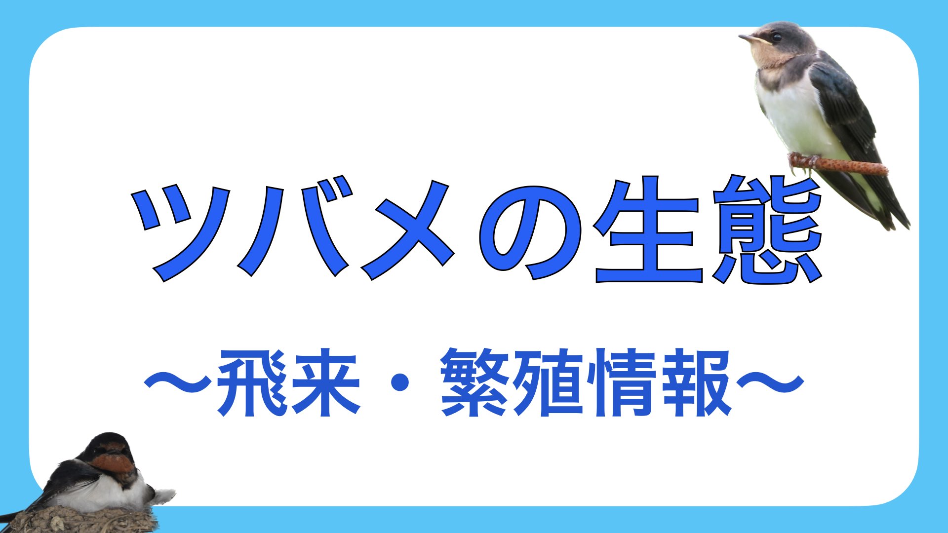 ツバメの生態｜ツバメの初見日・繁殖期・営巣場所・一腹産卵数・巣立ち数｜GISで学ぶ野生動物・鳥類の生態